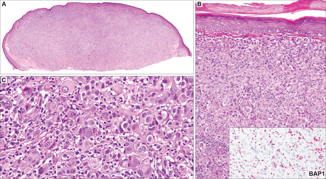 FIGURE 3