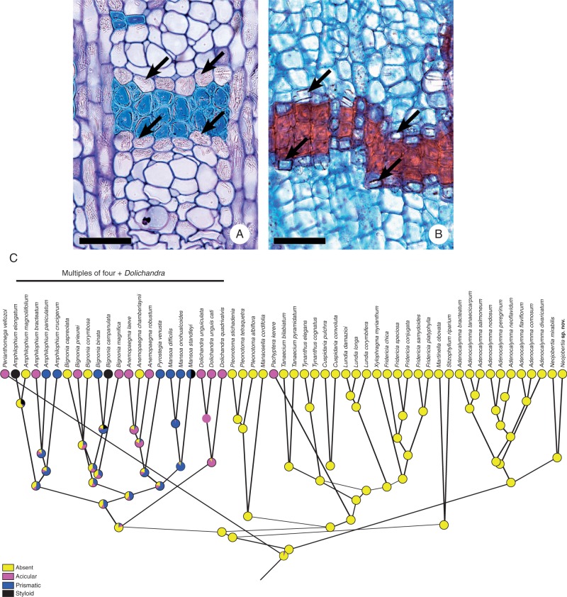 Fig. 14.