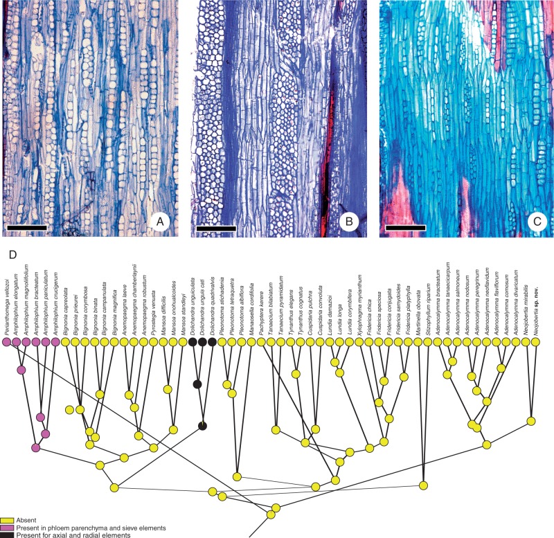 Fig. 11.