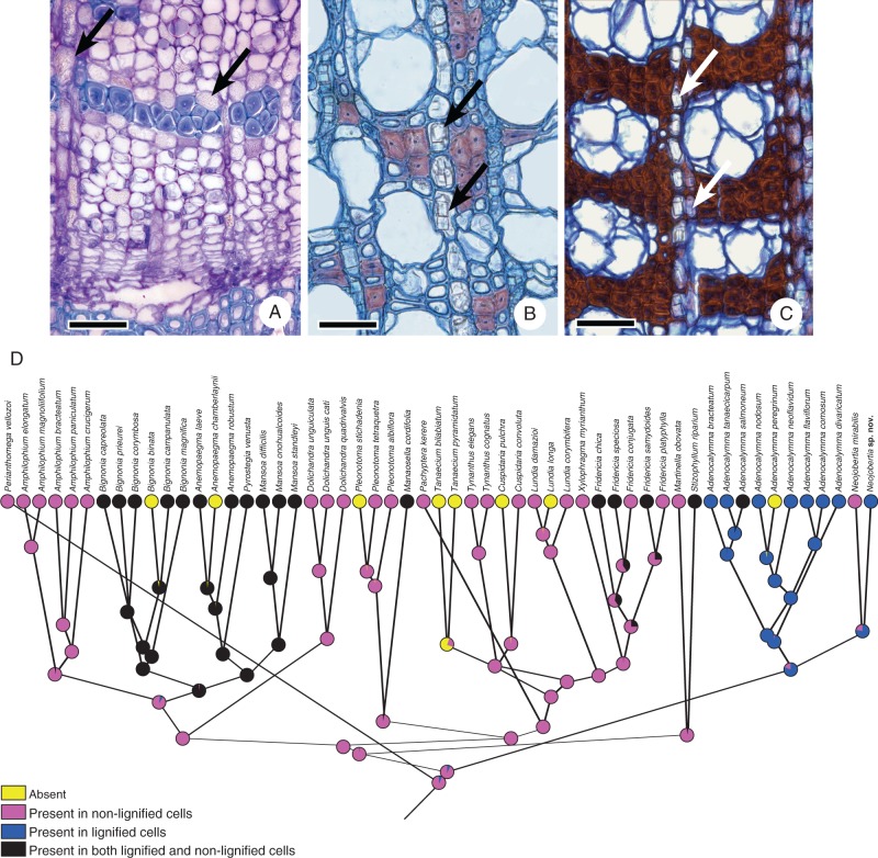 Fig. 13.