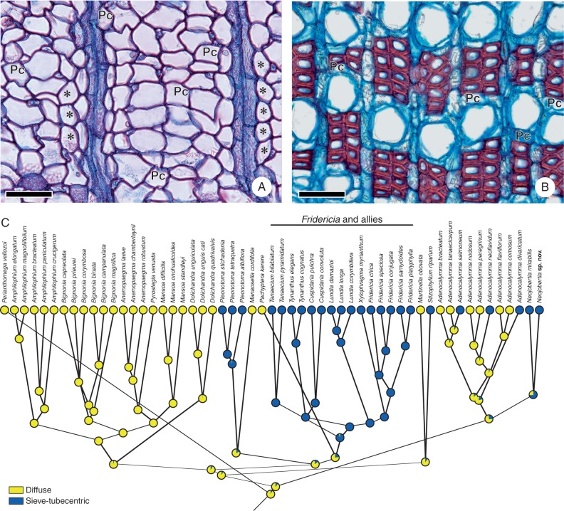 Fig. 8.