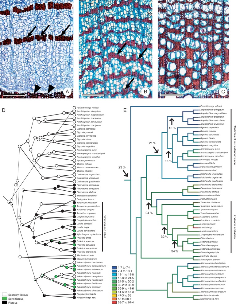 Fig. 10.