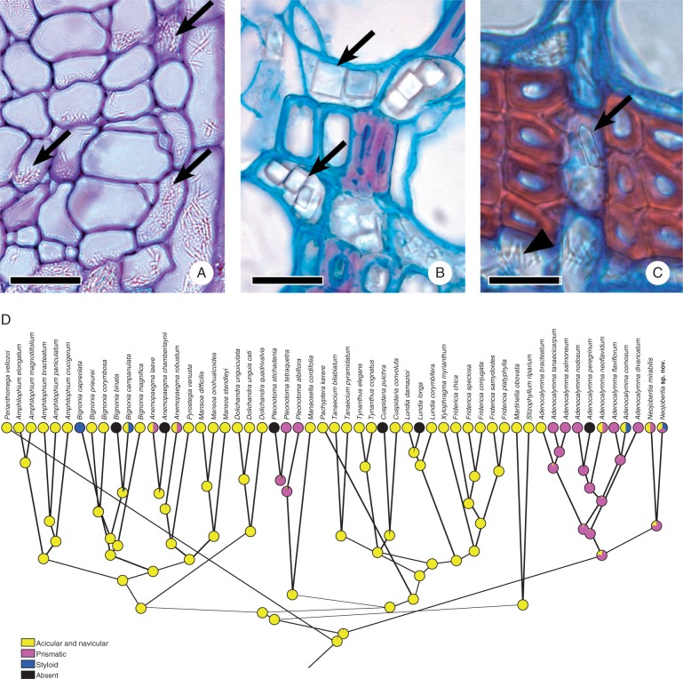 Fig. 12.