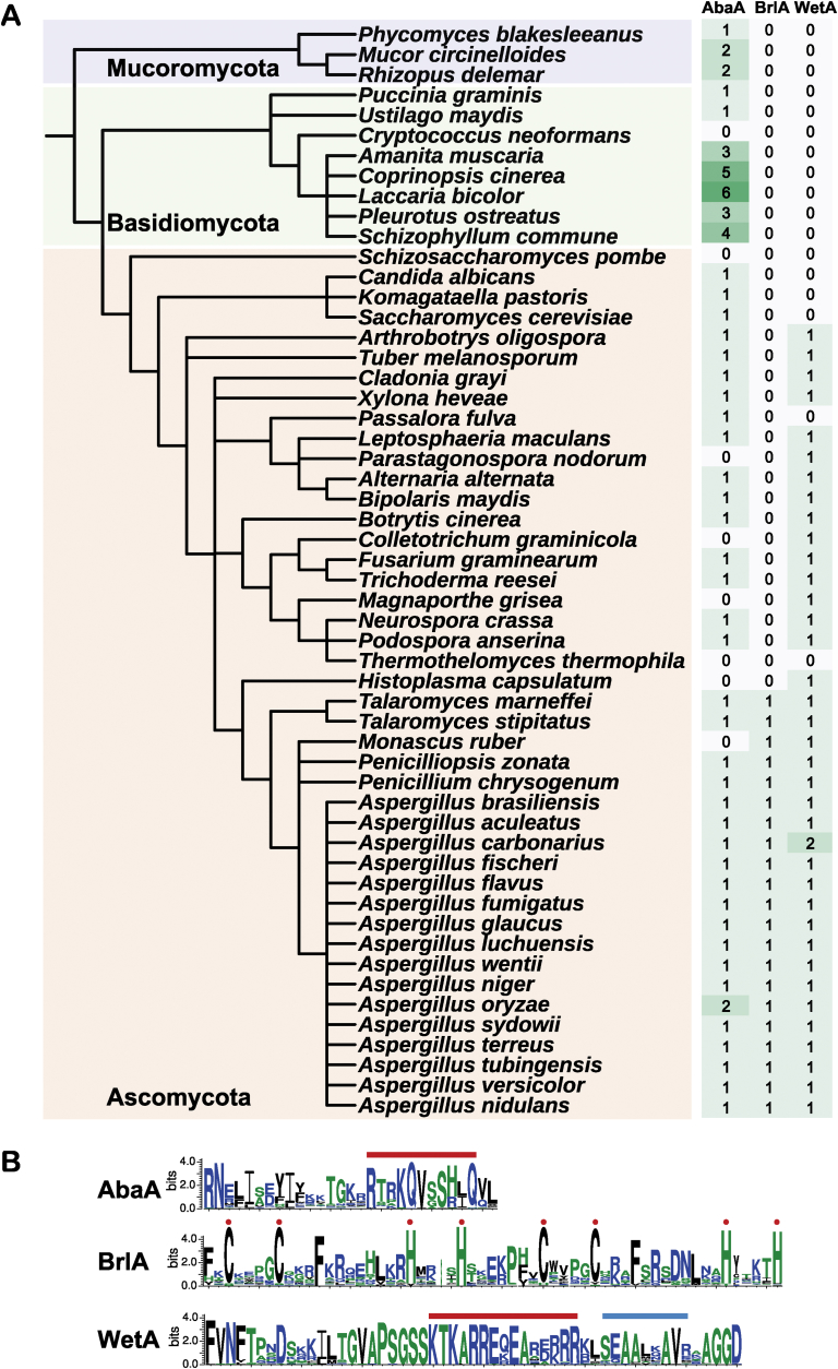 Fig. 3