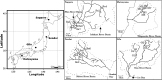 Fig. 1