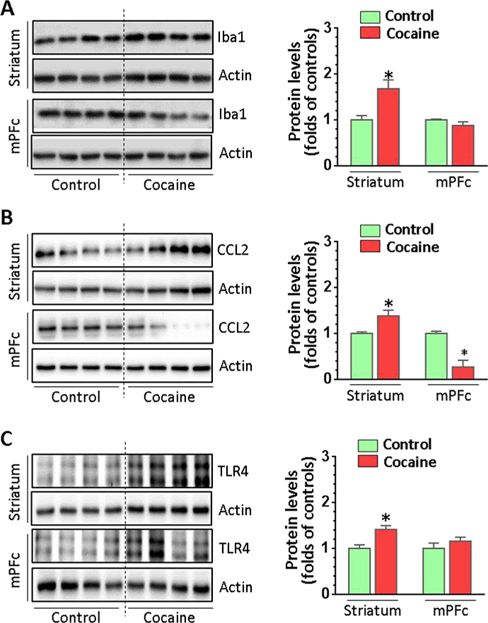 Figure 4.