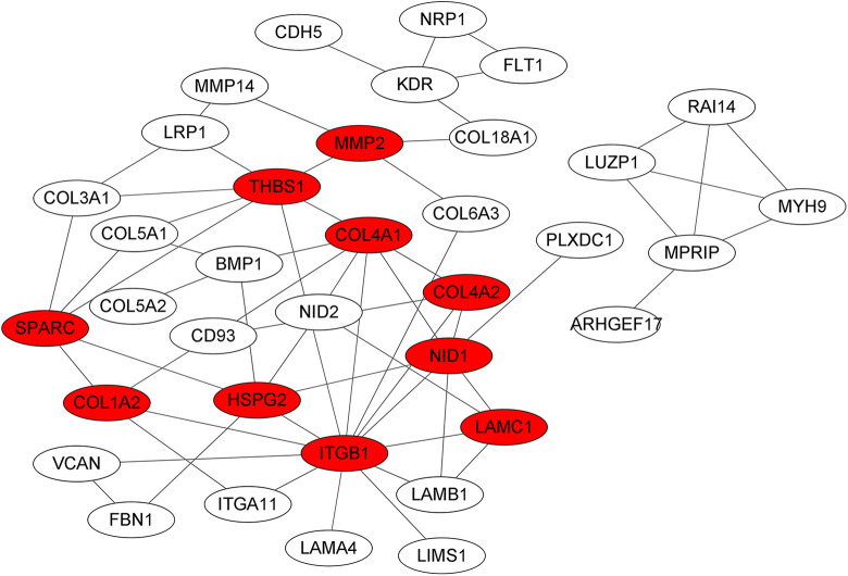 Figure 7.