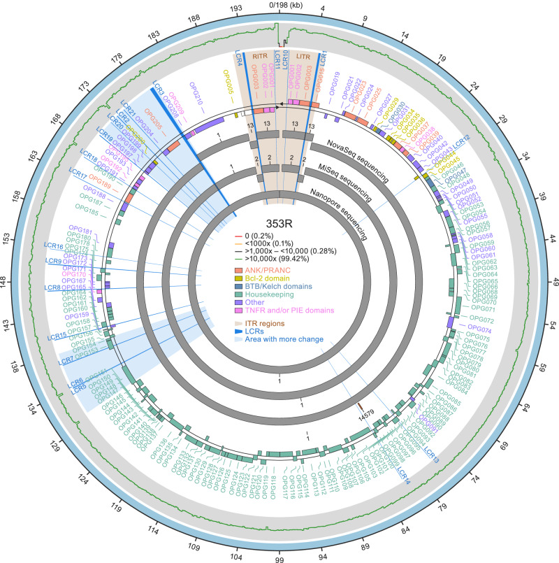 Monkeypox virus genomic accordion strategies - PMC