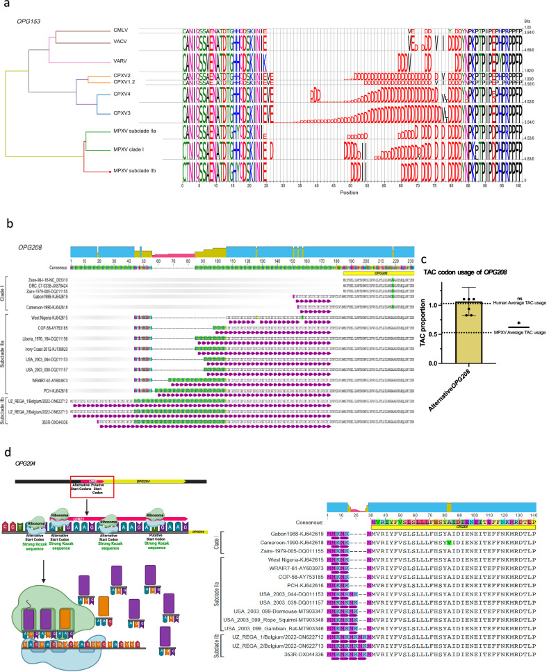 Monkeypox virus genomic accordion strategies - PMC