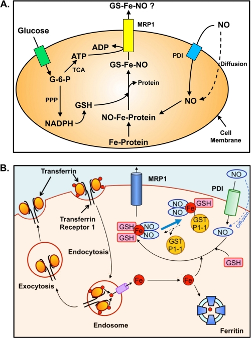 FIGURE 2.