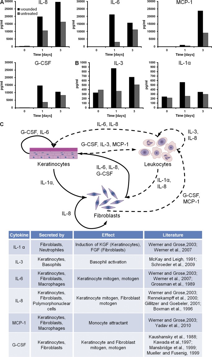 Figure 2.