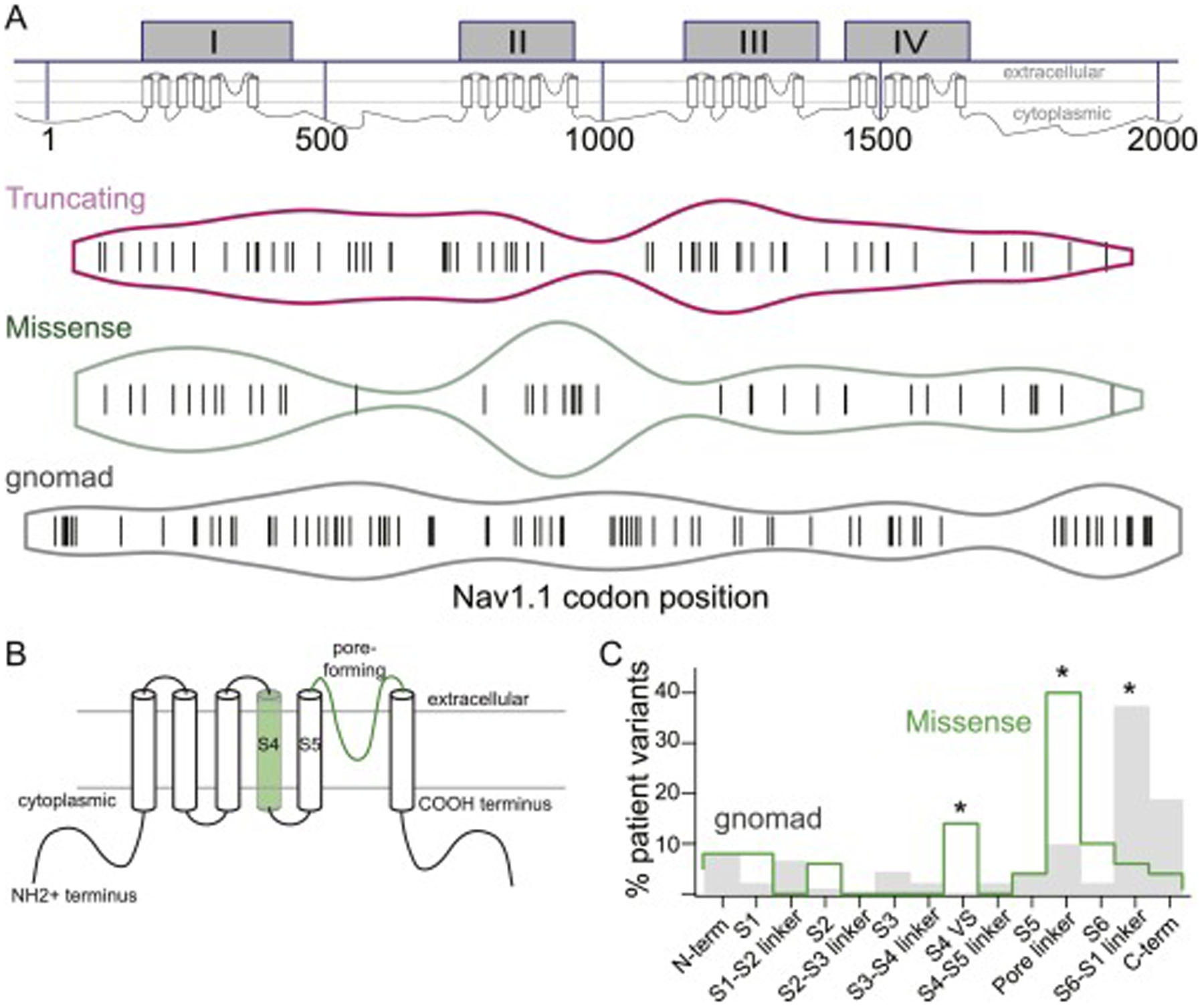 Fig 3: