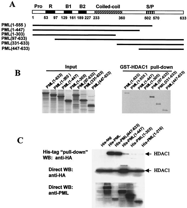 FIG. 5