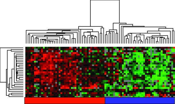 Appendix Figure 2