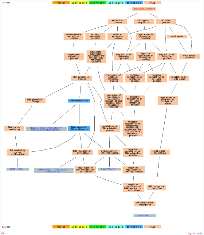 Appendix Figure 1