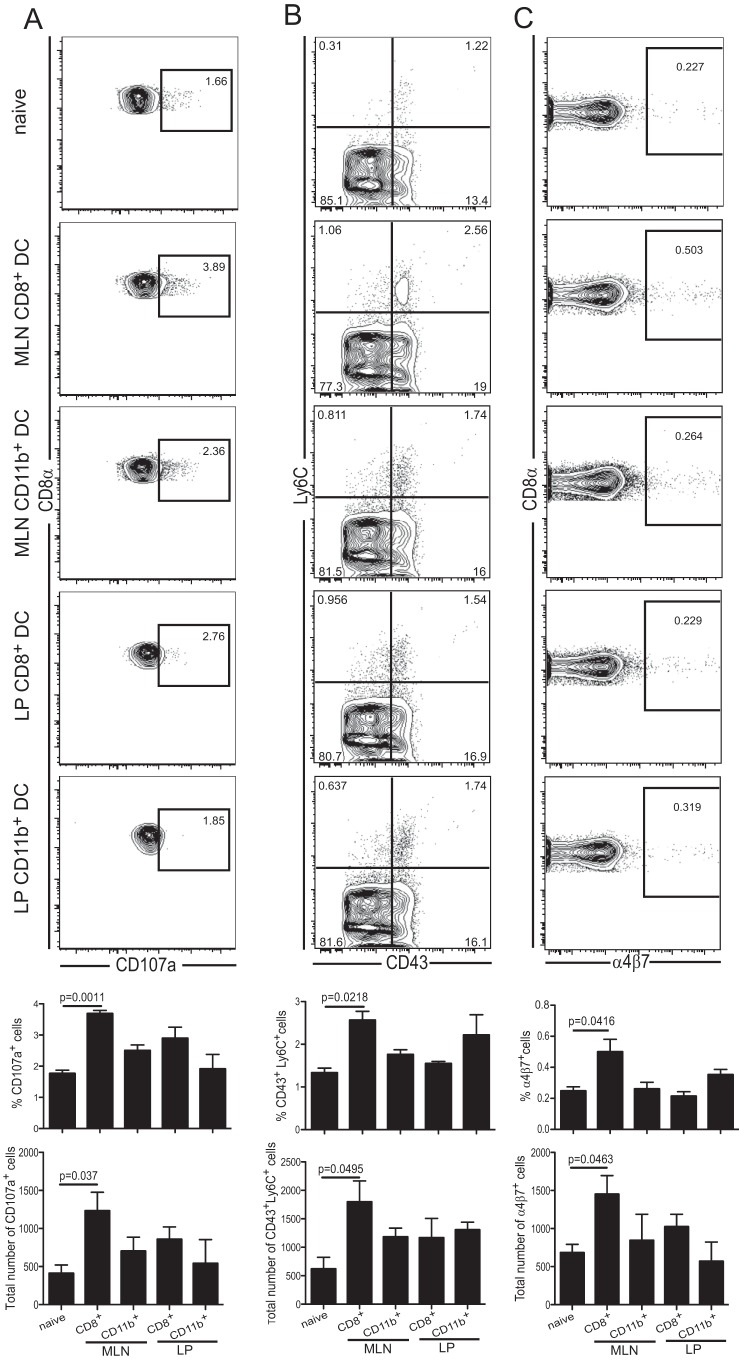 FIG 6