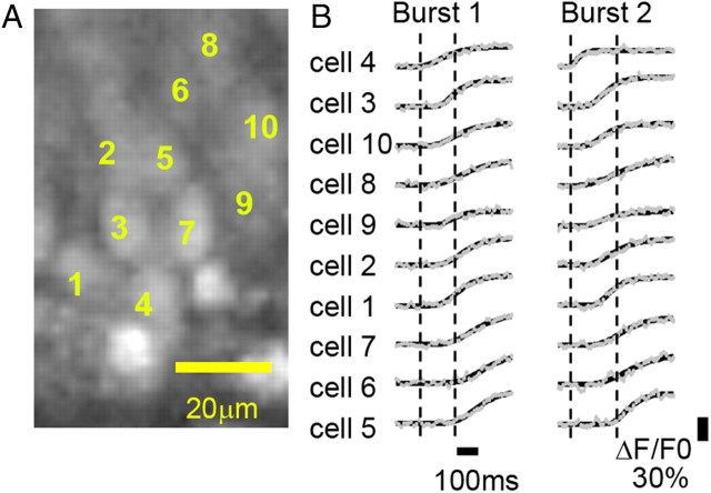 Figure 4.