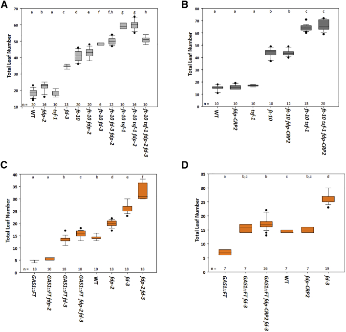 Figure 3