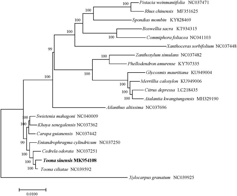 Figure 1.