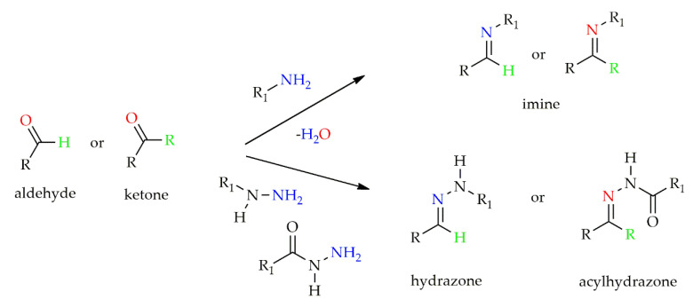 Scheme 2