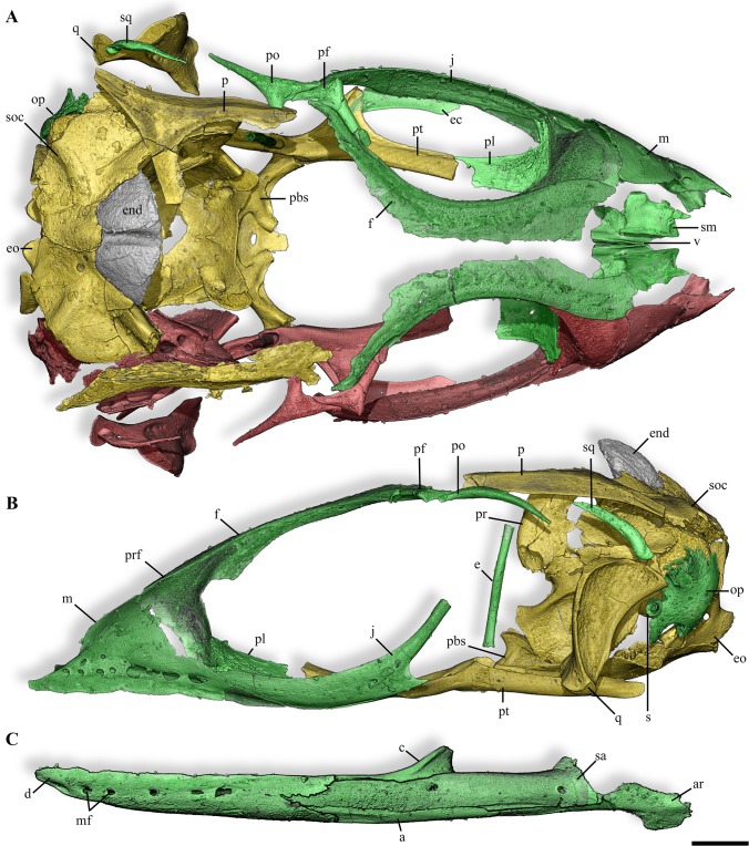 Fig 3