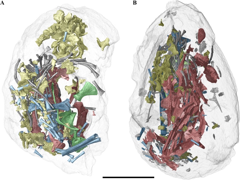 Fig 2