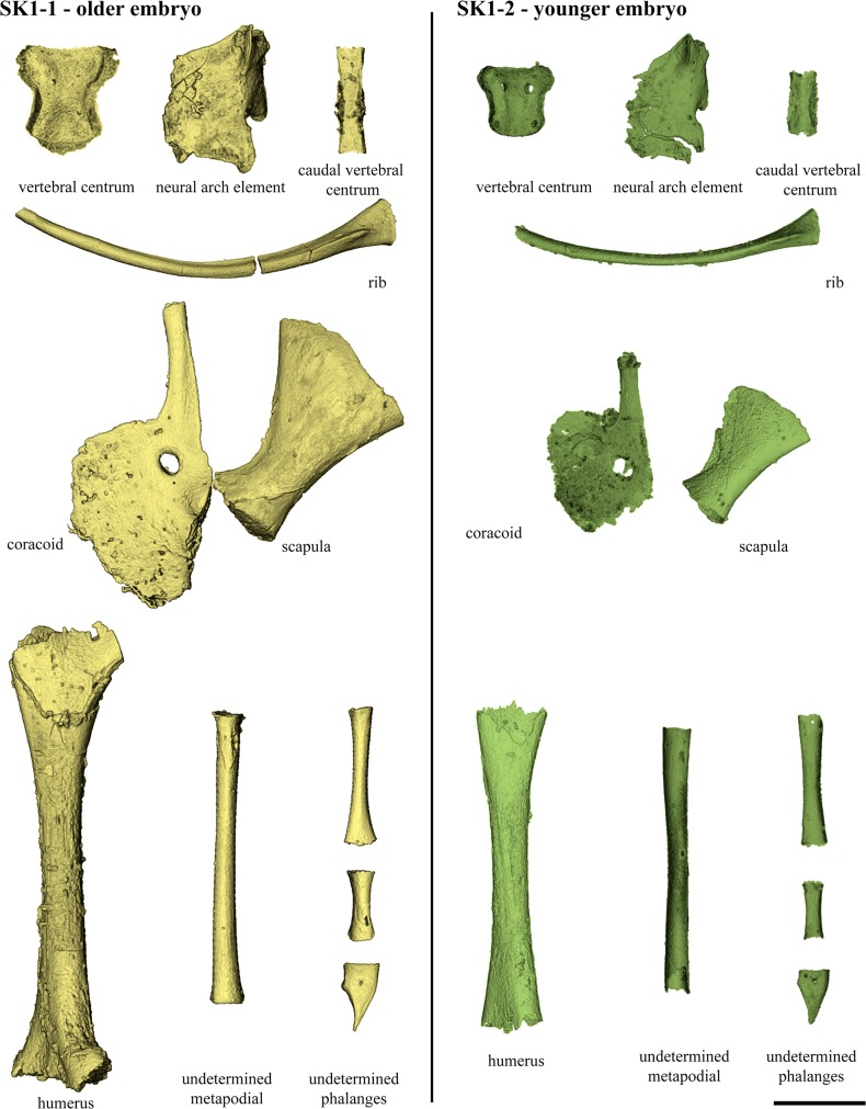 Fig 6