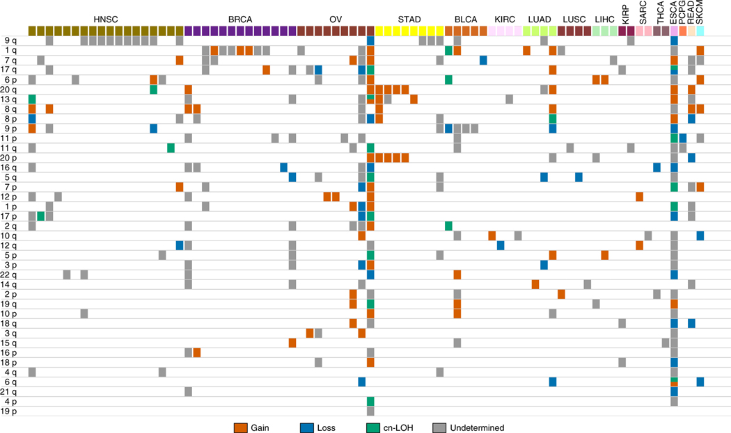 Fig. 4 |