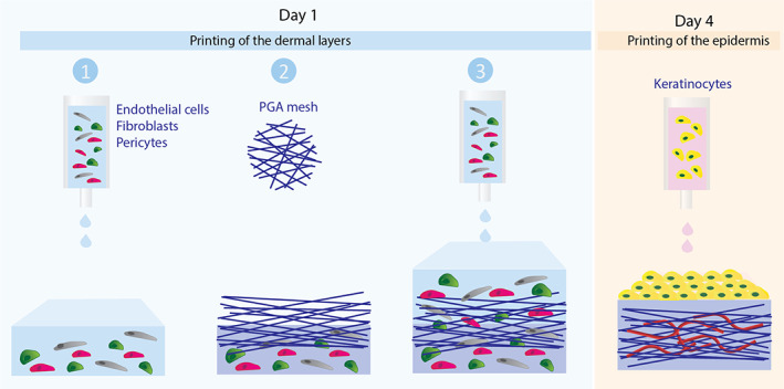 FIGURE 1