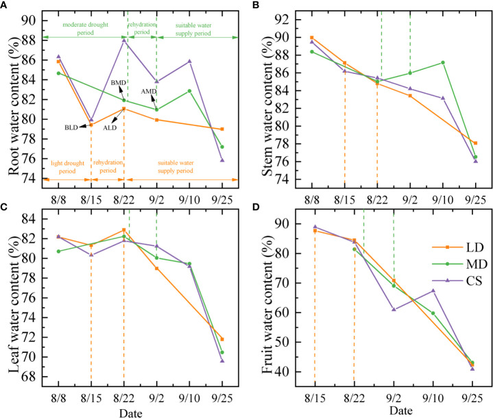 Figure 2