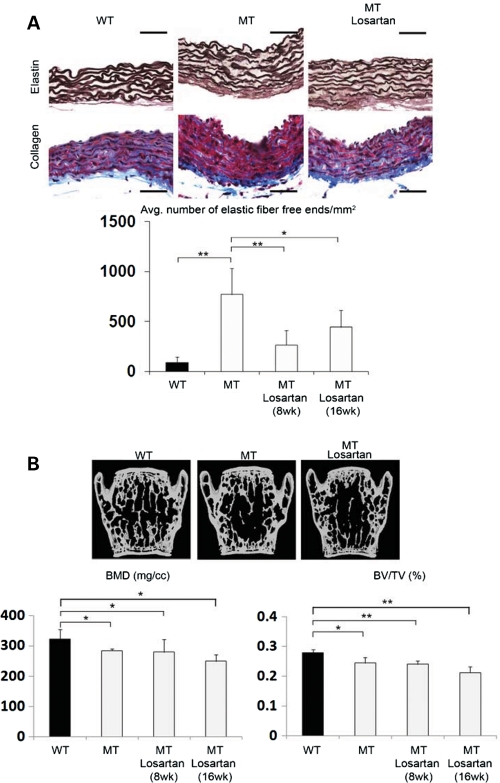 Figure 6.