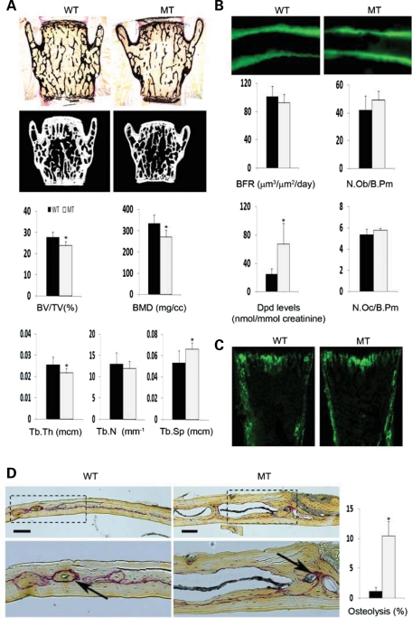 Figure 1.