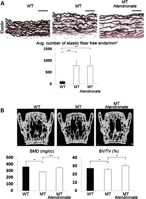 Figure 7.