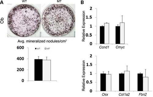 Figure 2.