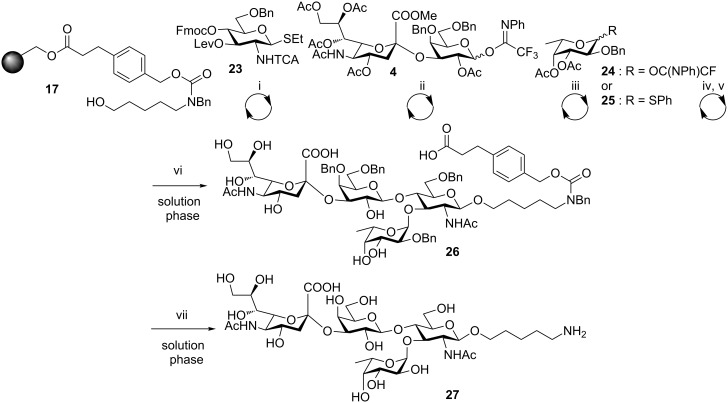 Scheme 5