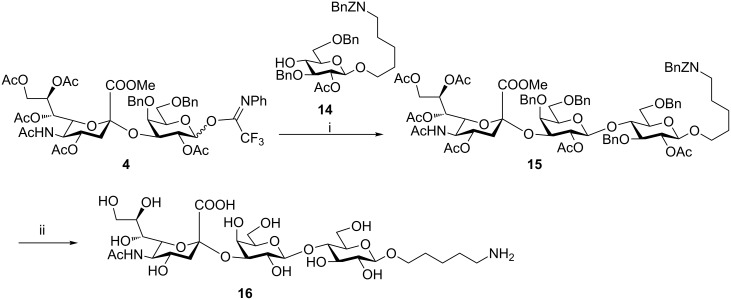 Scheme 2