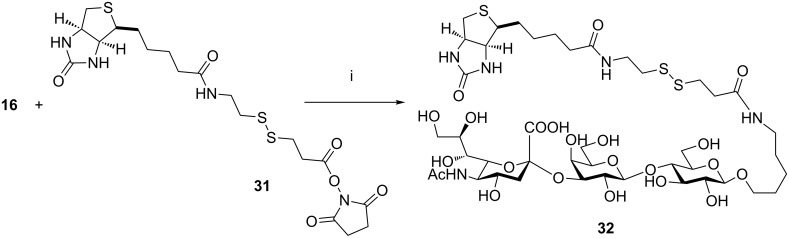 Scheme 7