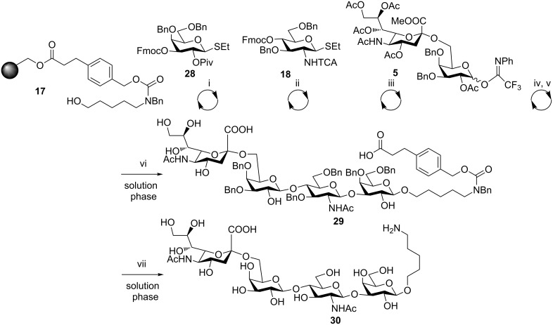 Scheme 6