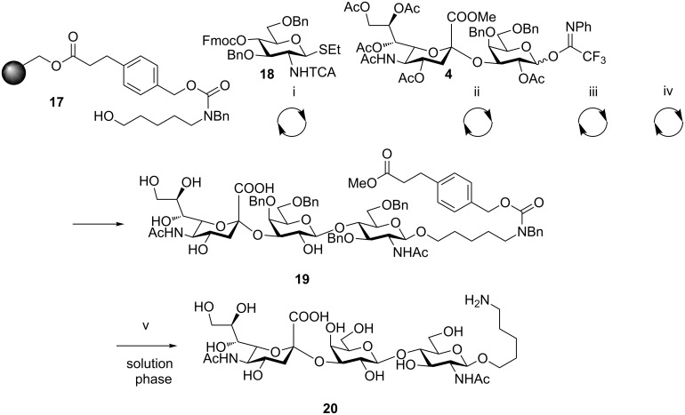 Scheme 3