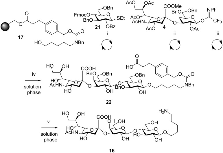 Scheme 4