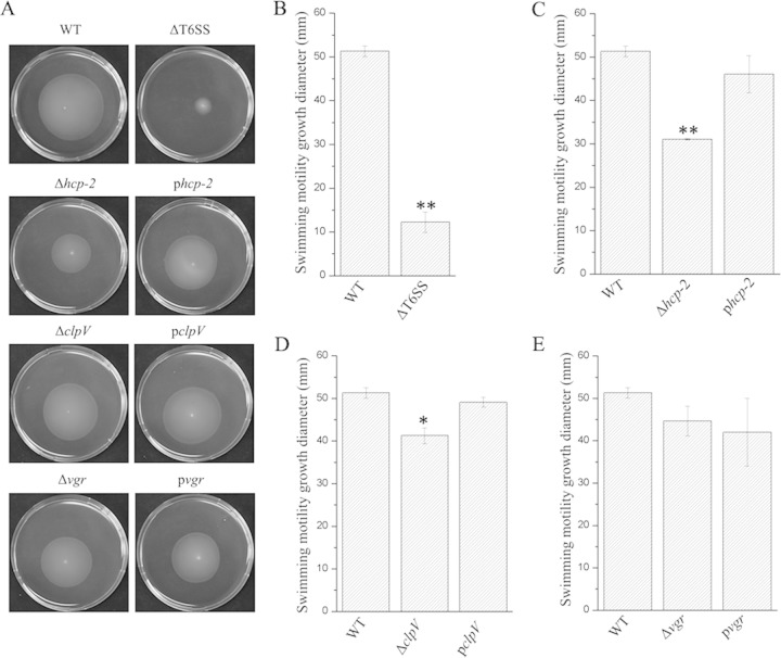 FIG 4