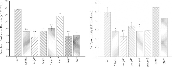 FIG 5