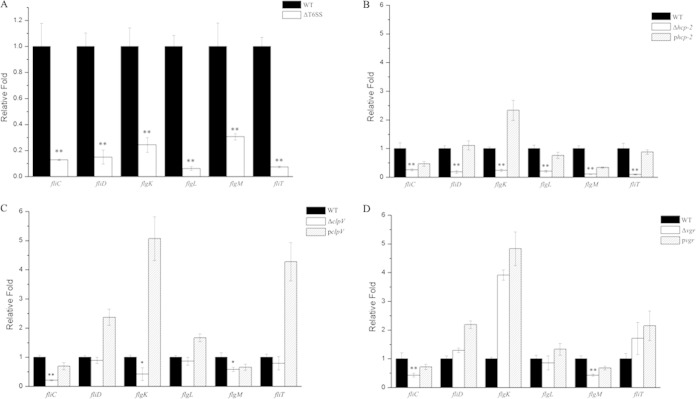 FIG 2