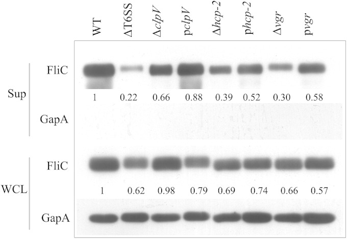 FIG 3