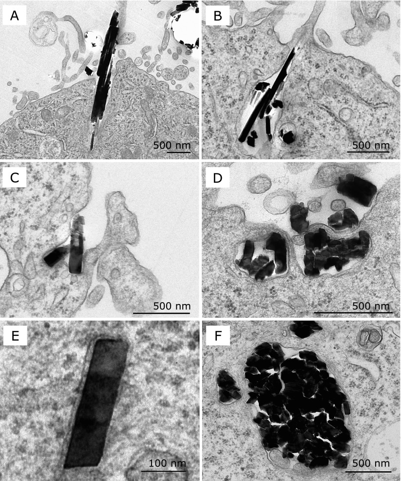 Fig. 2