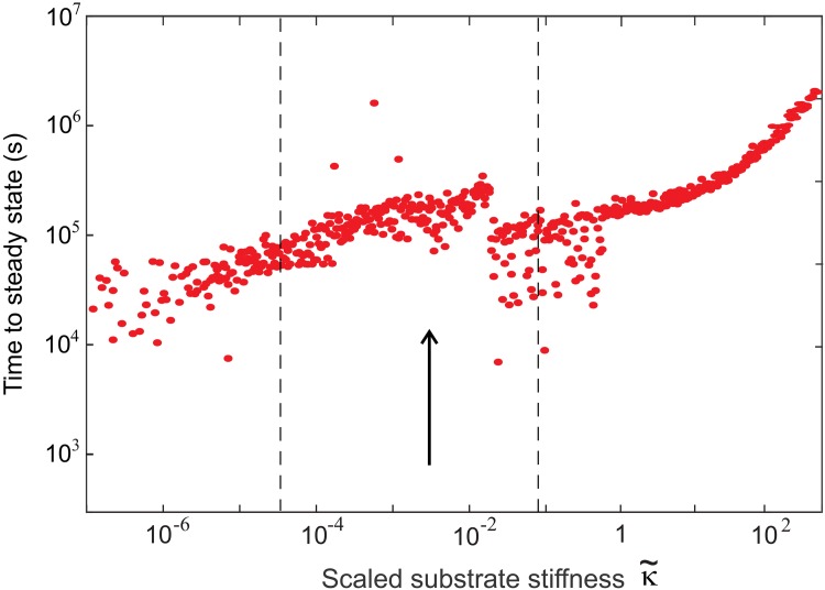 Fig 5