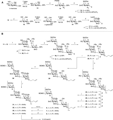 Scheme 1