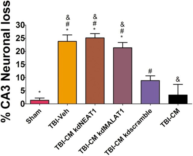 Figure 10.