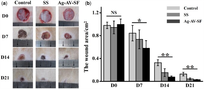 Figure 7.