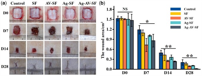 Figure 6.